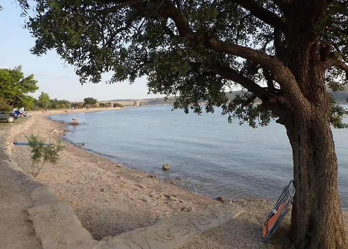 In Near & Paklenica Apartment *